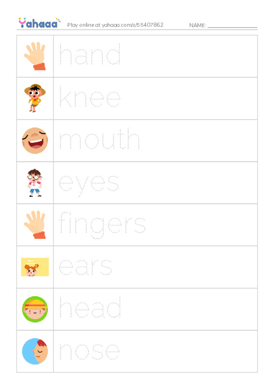 Body parts PDF one column image words