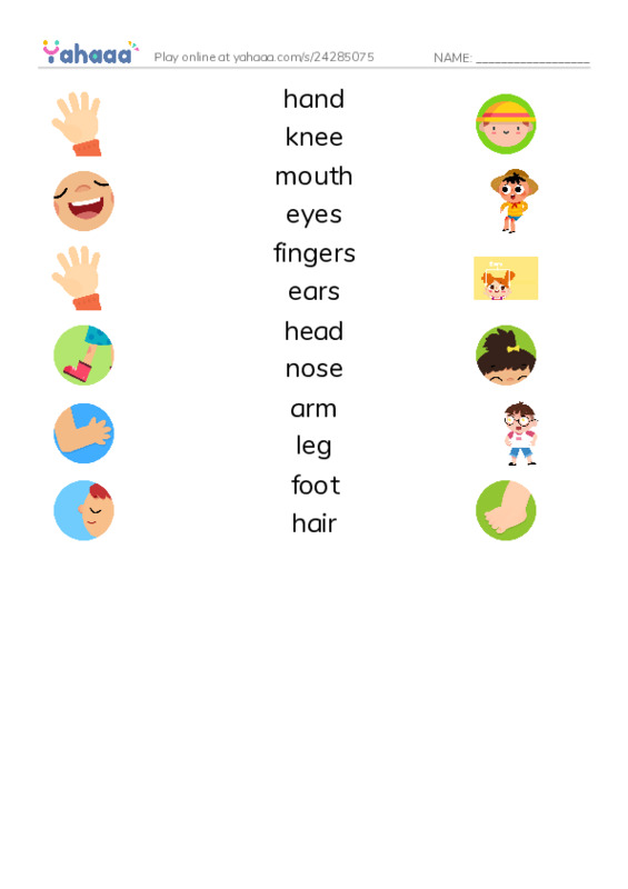 Body parts PDF three columns match words