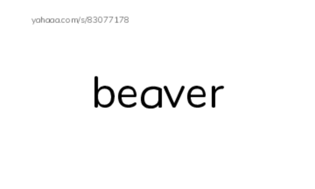 Animals  PDF index cards word only