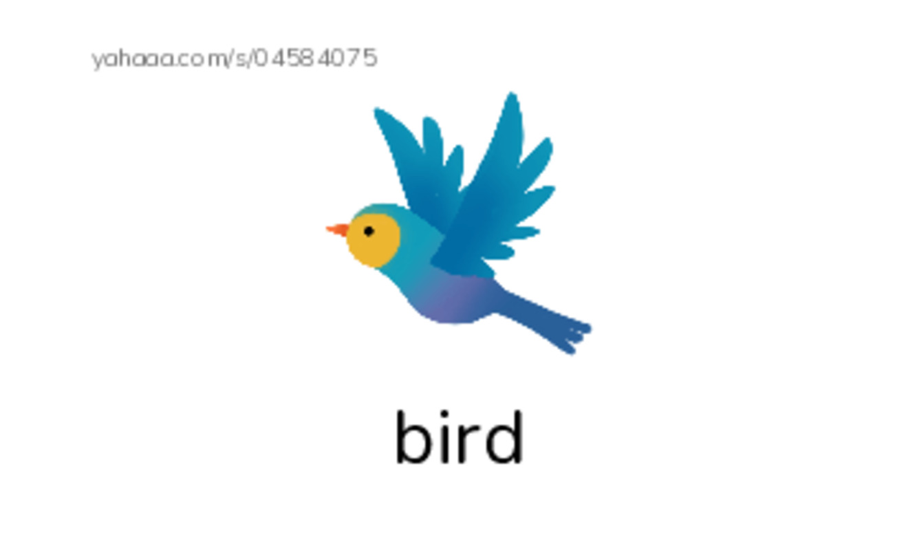 Common animals PDF index cards with images