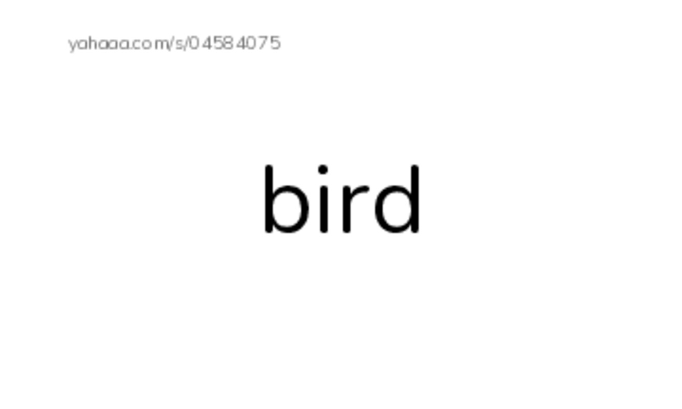 Common animals PDF index cards word only
