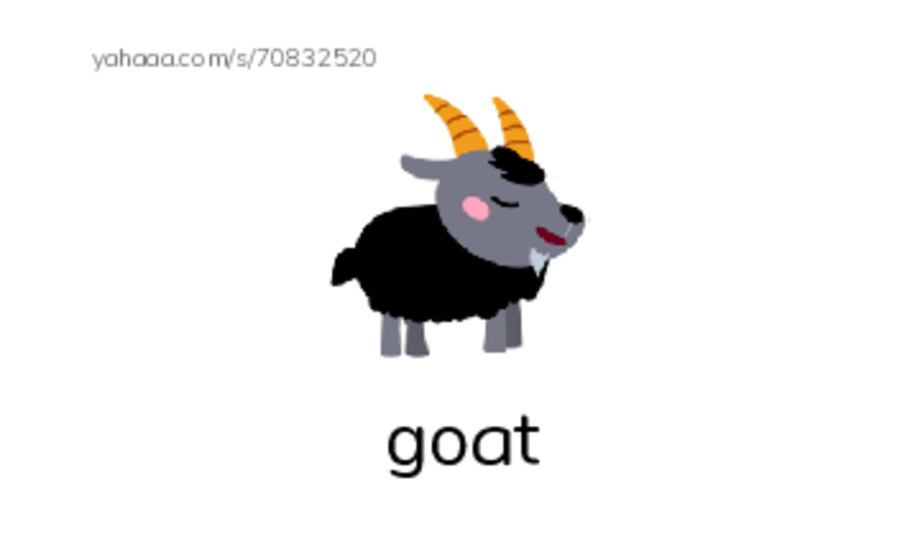 ANIMALS- 2 PDF index cards with images