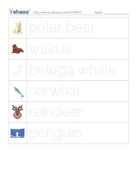 Polar animals  PDF one column image words